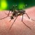 Παγκόσμια Ημέρα κατά των Κουνουπιών