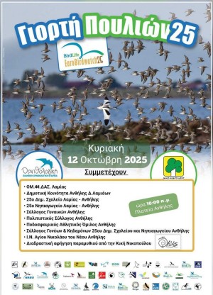 Γιορτή πουλιών 2025