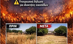 Screenshot 2026 04 02 110832