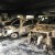 Θεσσαλονίκη: Μεγάλες ζημιές από τη φωτιά σε 8 οχήματα 