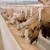 Γ. Οικονόμου: Στήριξη ύψους 85 εκατ. ευρώ στους κτηνοτρόφους για ζωοτροφές